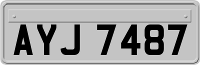 AYJ7487