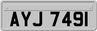 AYJ7491