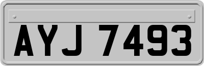 AYJ7493