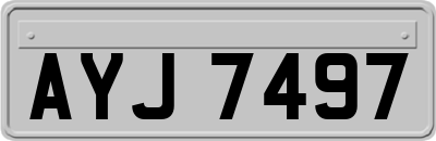 AYJ7497