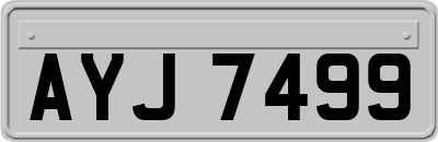 AYJ7499