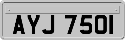 AYJ7501