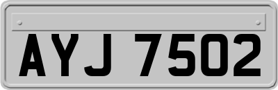 AYJ7502