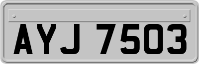AYJ7503