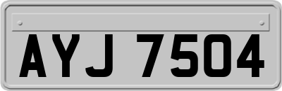 AYJ7504