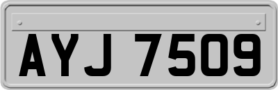 AYJ7509