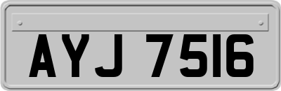 AYJ7516