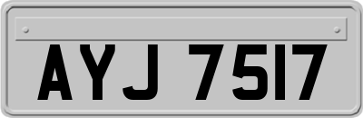 AYJ7517
