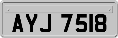 AYJ7518