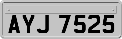 AYJ7525