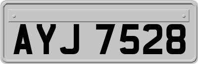 AYJ7528