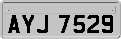 AYJ7529