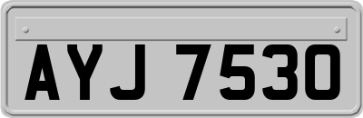 AYJ7530