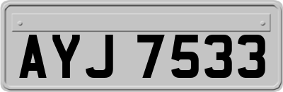 AYJ7533