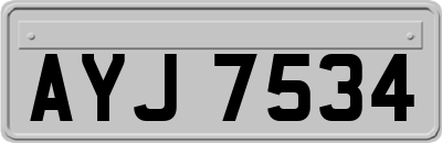 AYJ7534