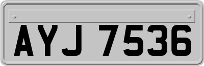 AYJ7536