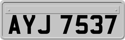 AYJ7537