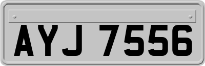 AYJ7556