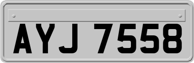 AYJ7558
