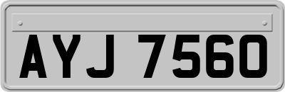 AYJ7560