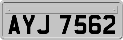 AYJ7562