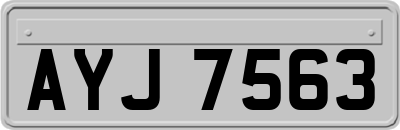 AYJ7563