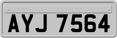 AYJ7564