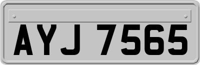 AYJ7565