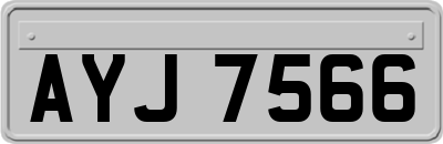 AYJ7566
