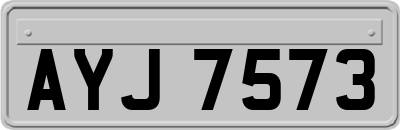 AYJ7573