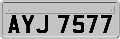 AYJ7577
