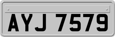 AYJ7579