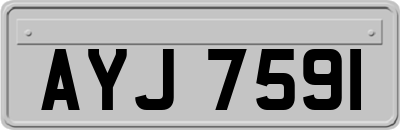 AYJ7591