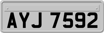 AYJ7592