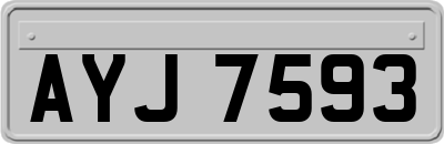 AYJ7593