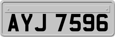 AYJ7596