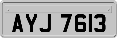 AYJ7613