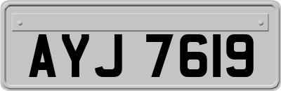 AYJ7619