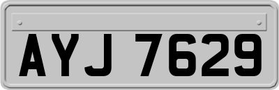 AYJ7629