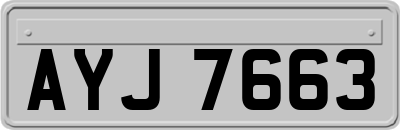 AYJ7663