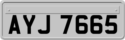 AYJ7665