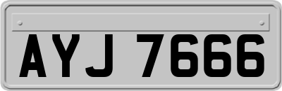 AYJ7666