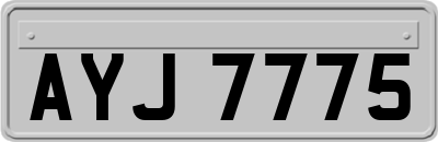 AYJ7775