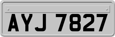 AYJ7827