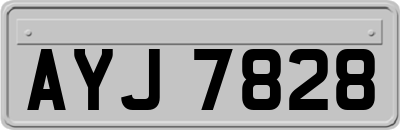 AYJ7828