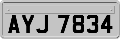 AYJ7834