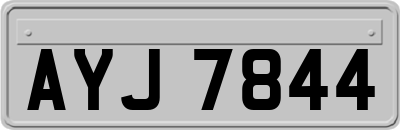 AYJ7844