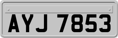AYJ7853