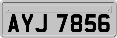AYJ7856