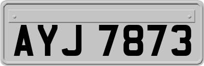 AYJ7873